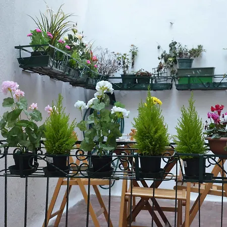 Life Appartement