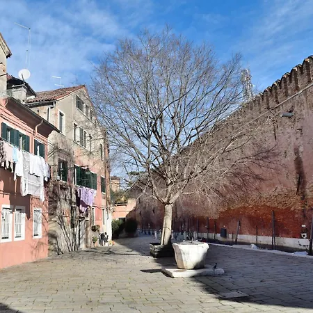 ヴェニス ライフ *